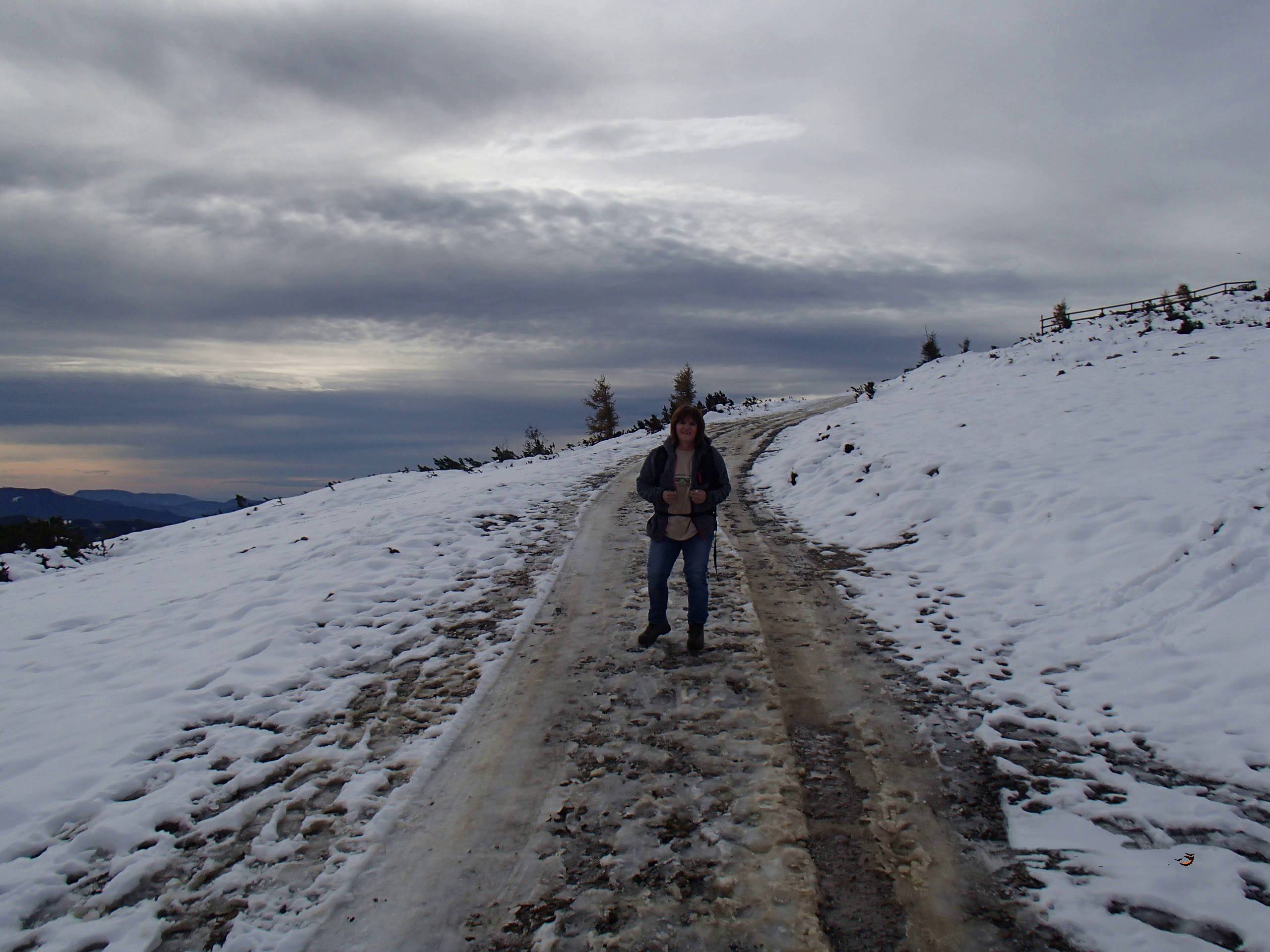 Aflenzer Bürgeralm Schönleintenhaus