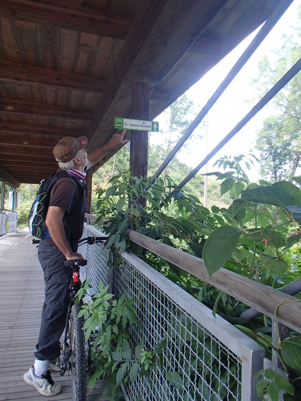 Altenmarkt an der Triesting Mountain Biking 
