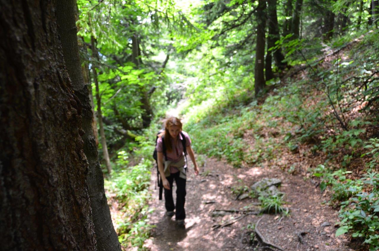 Mala Fatra National Park Hike to Velky Rozsutec