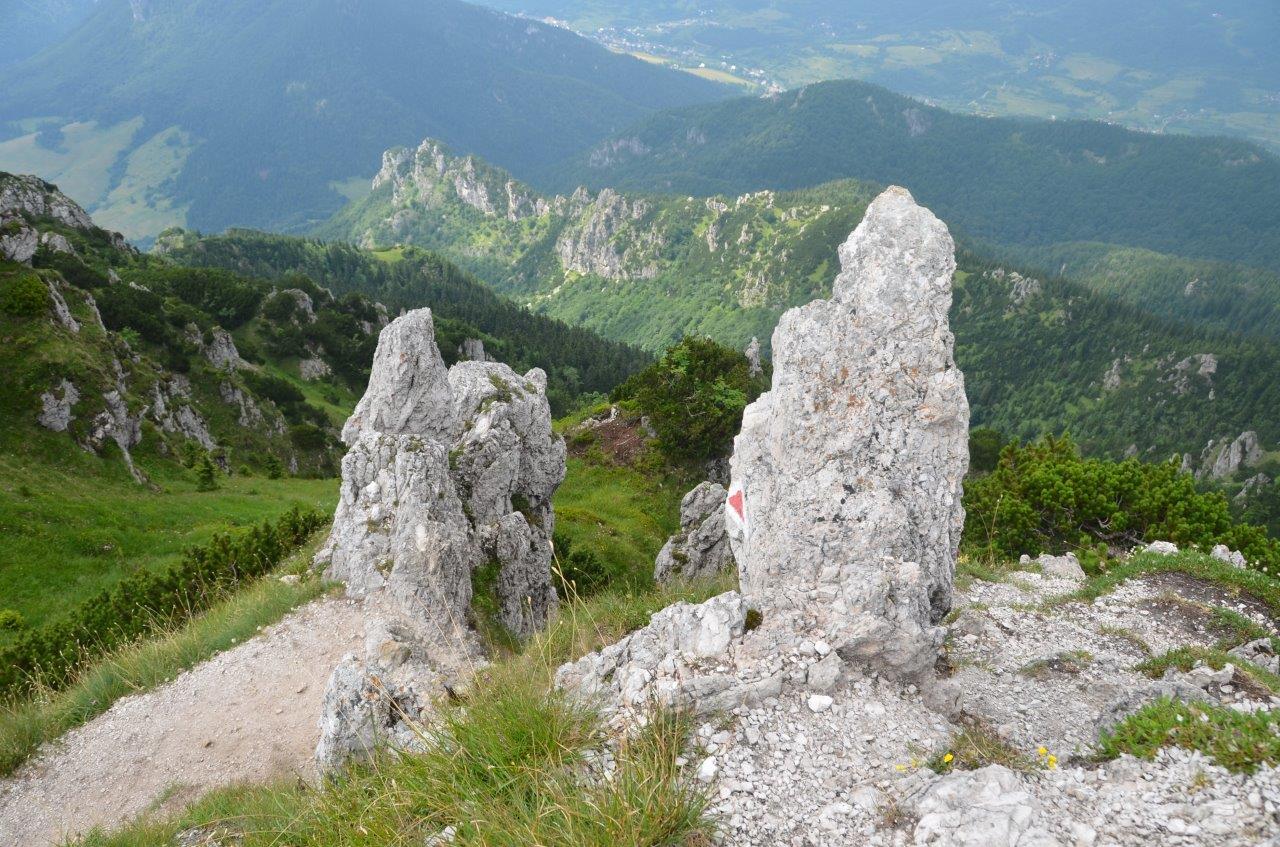 Mala Fatra National Park Hike to Velky Rozsutec