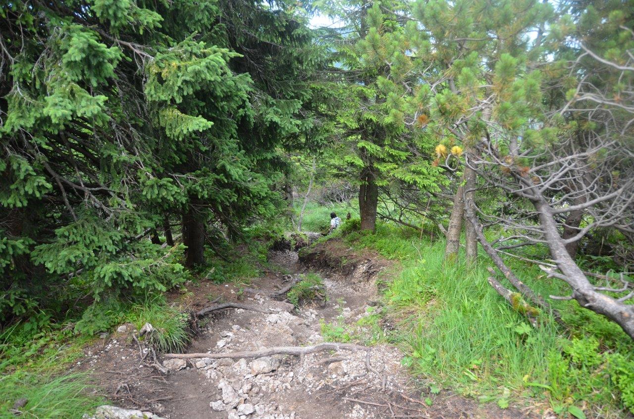 Mala Fatra National Park Hike to Velky Rozsutec