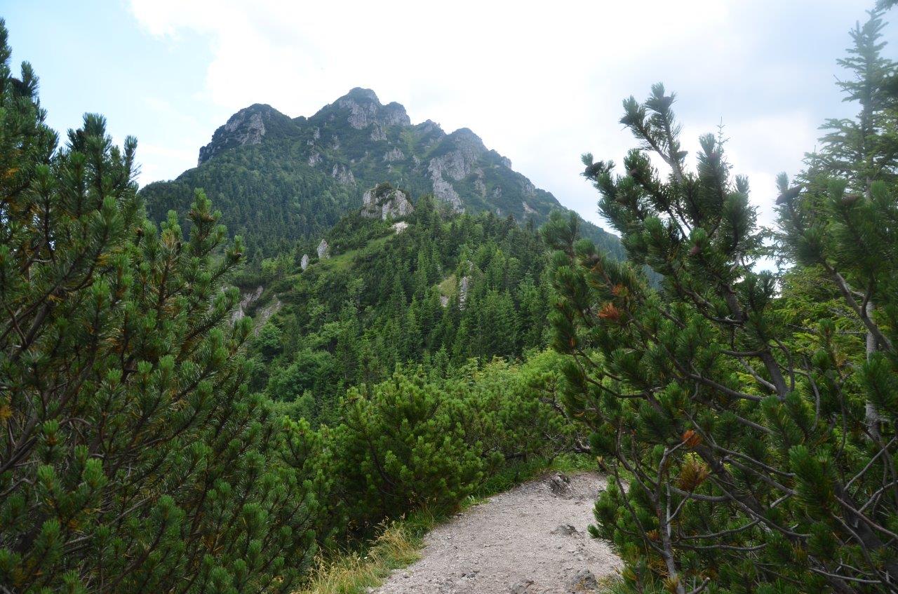 Mala Fatra National Park Hike to Velky Rozsutec