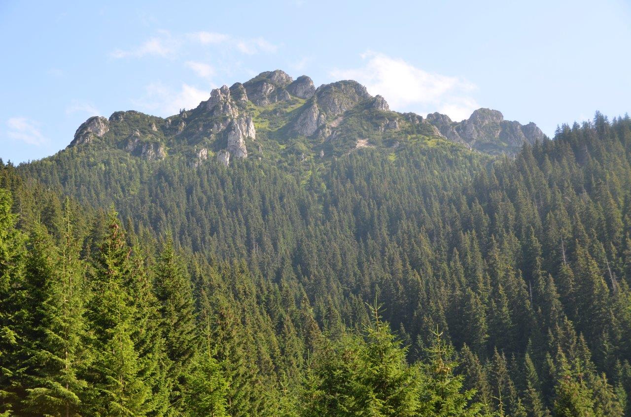 Mala Fatra National Park Hike to Velky Rozsutec