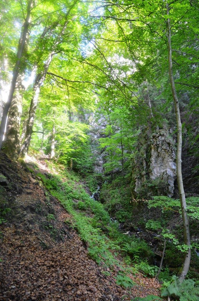 Mala Fatra National Park Hike to Velky Rozsutec