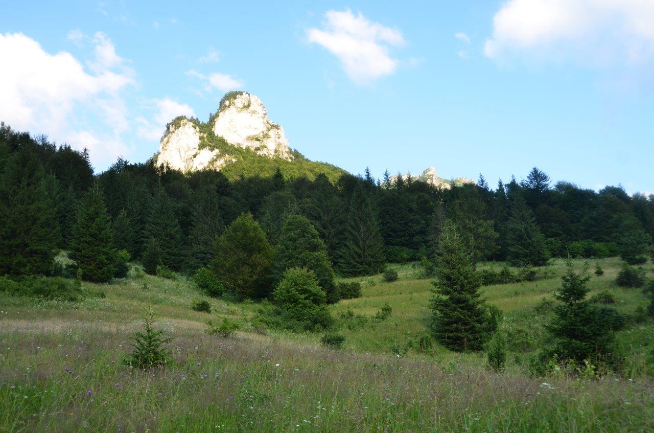 Mala Fatra National Park Hike to Velky Rozsutec