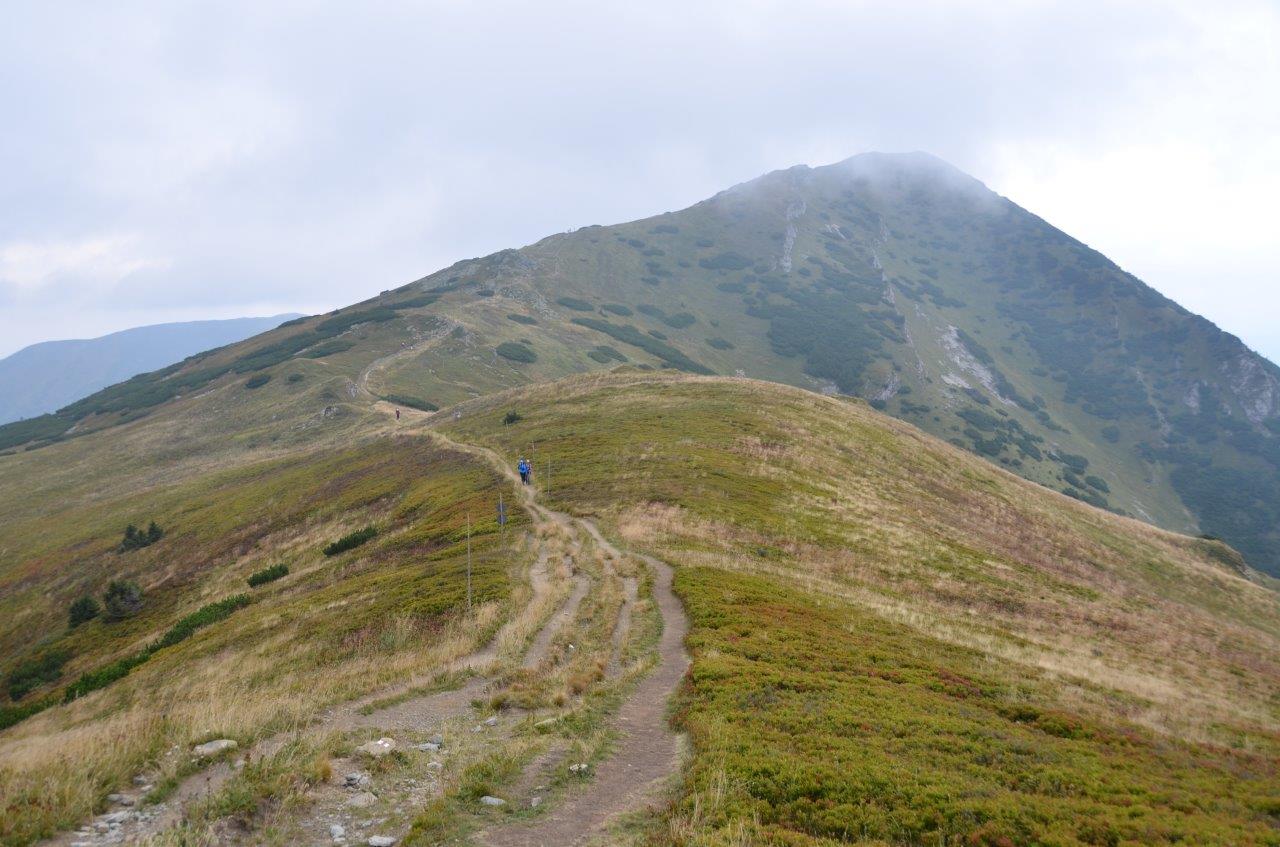 Mala Fatra National Park Hike to Velky Krivan