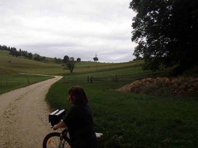 Johannesklamm Mountain Biking