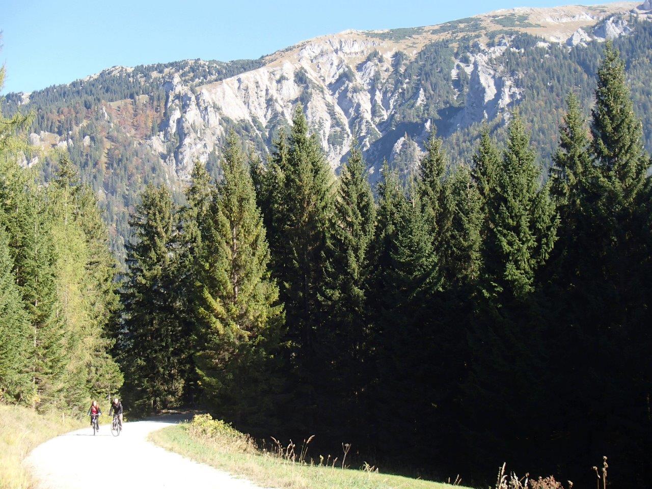 Falkensteinalm Mountain Biking