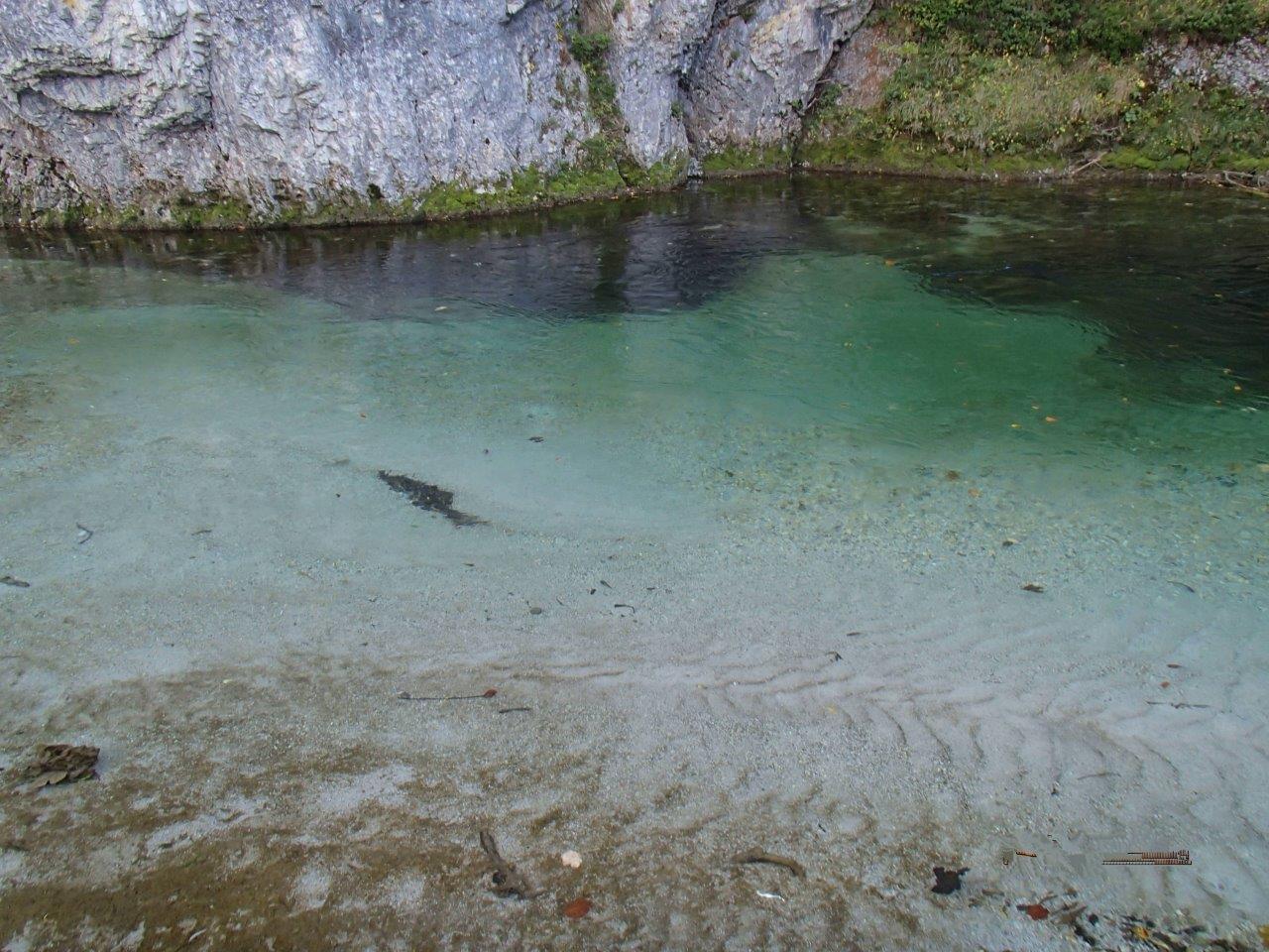 Falkensteinalm Mountain Biking