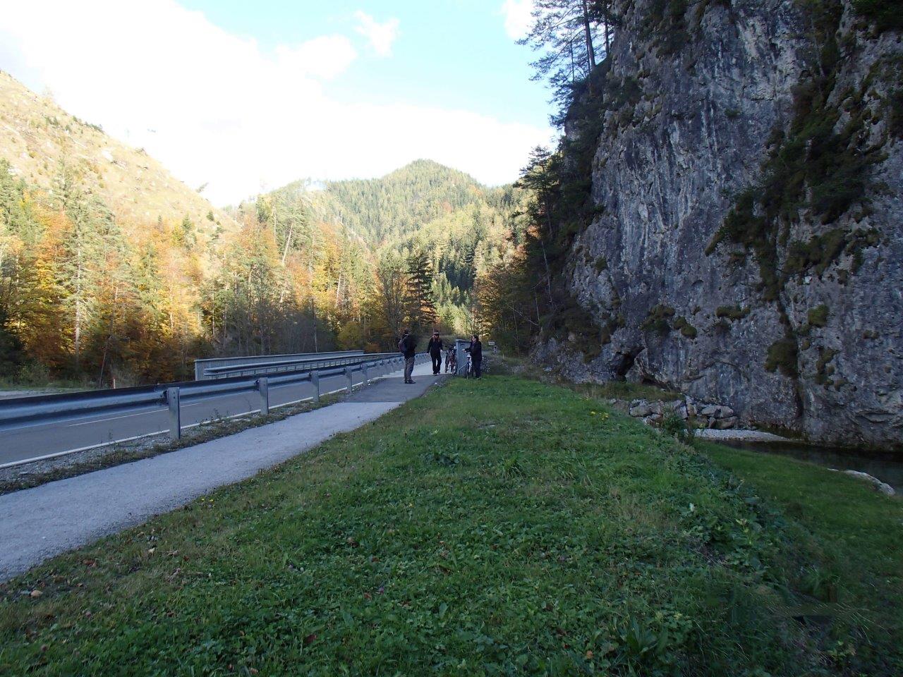 Falkensteinalm Mountain Biking