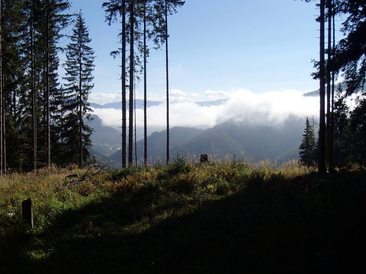 Falkensteinalm Mountain Biking