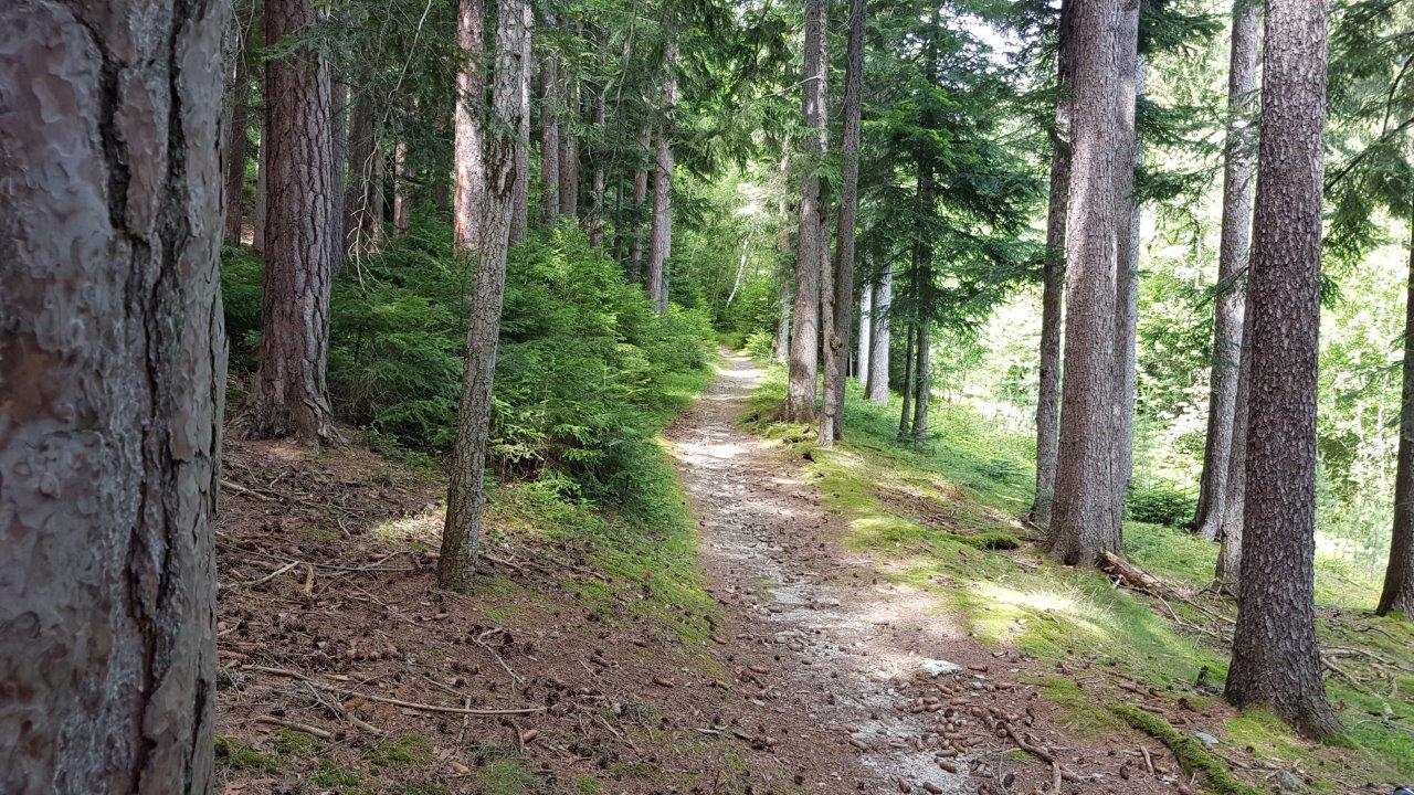 Gloggnitz Mountain Biking