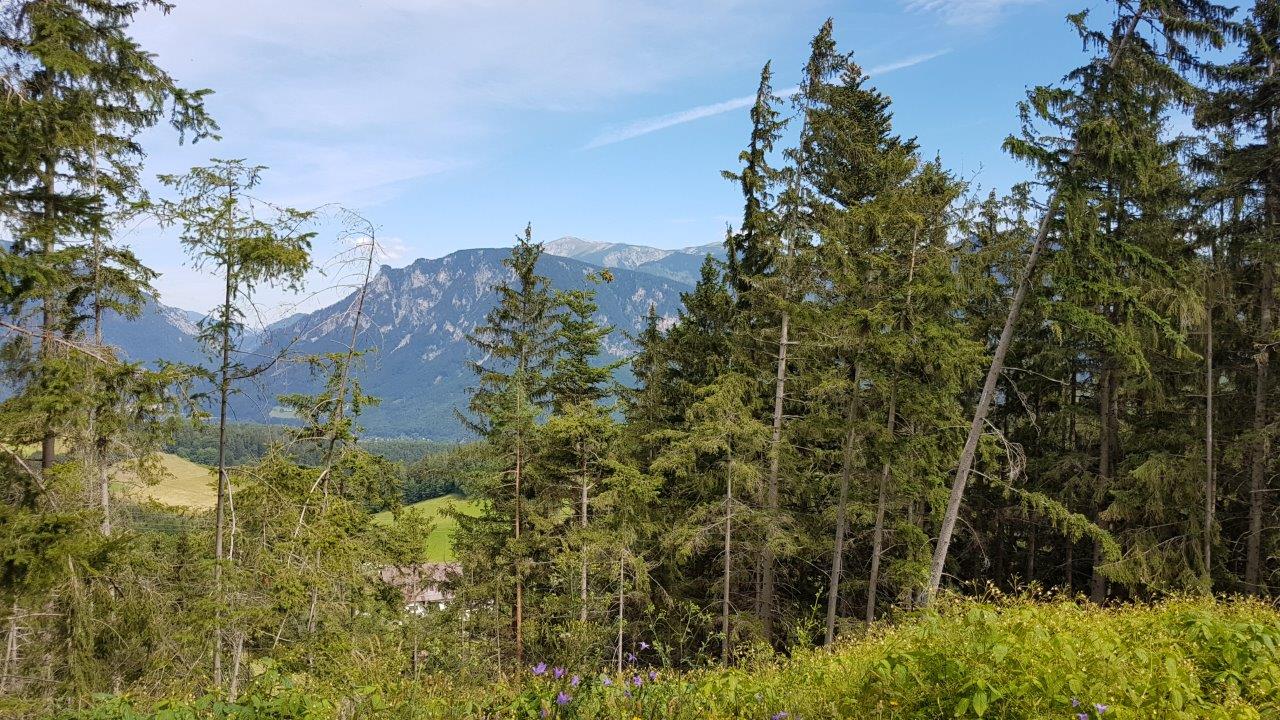 Gloggnitz Mountain Biking