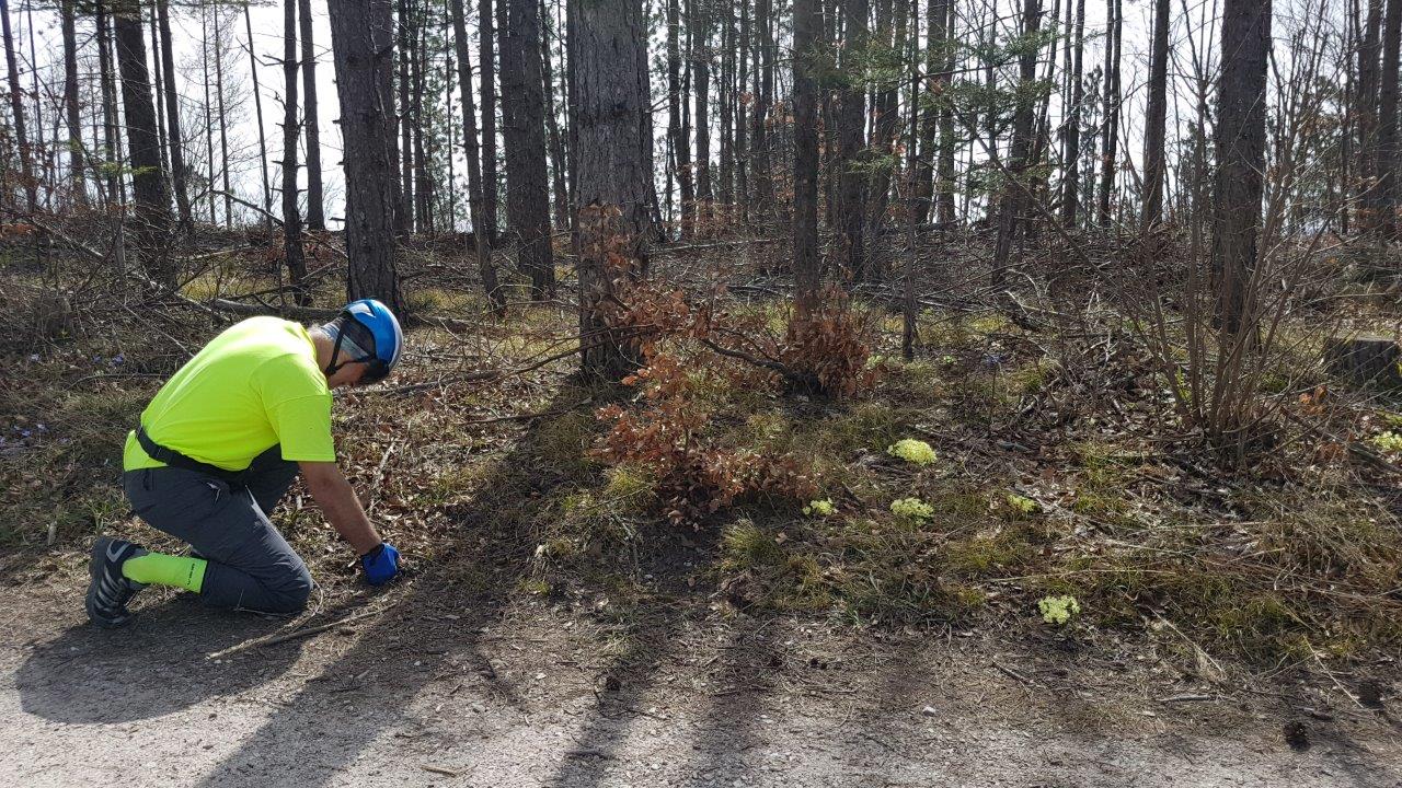 Helenental Lindkogel