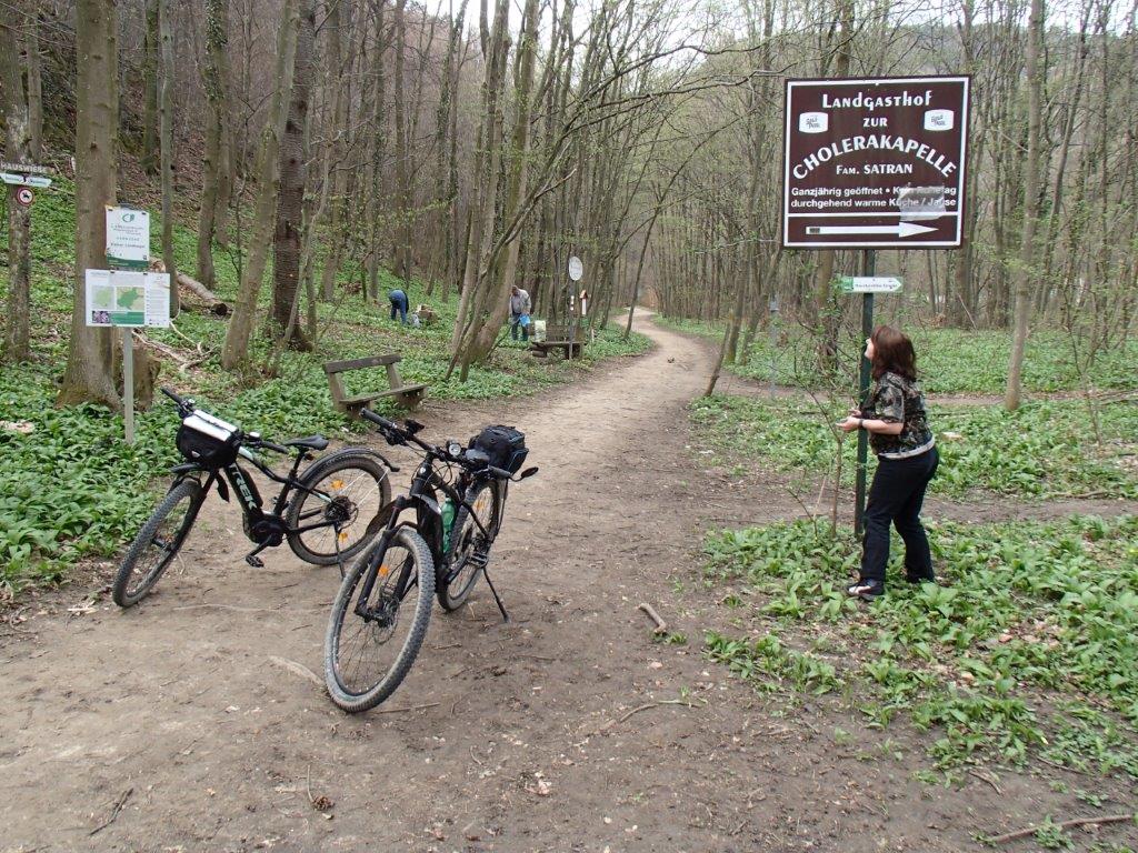 Helenental Lindkogel