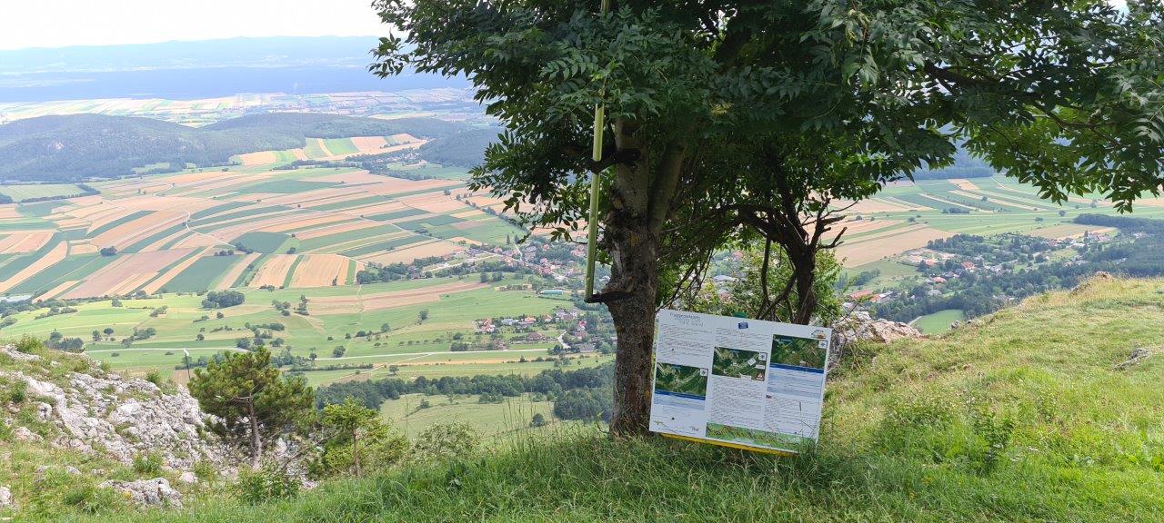 Hohe Wand Mountain Biking