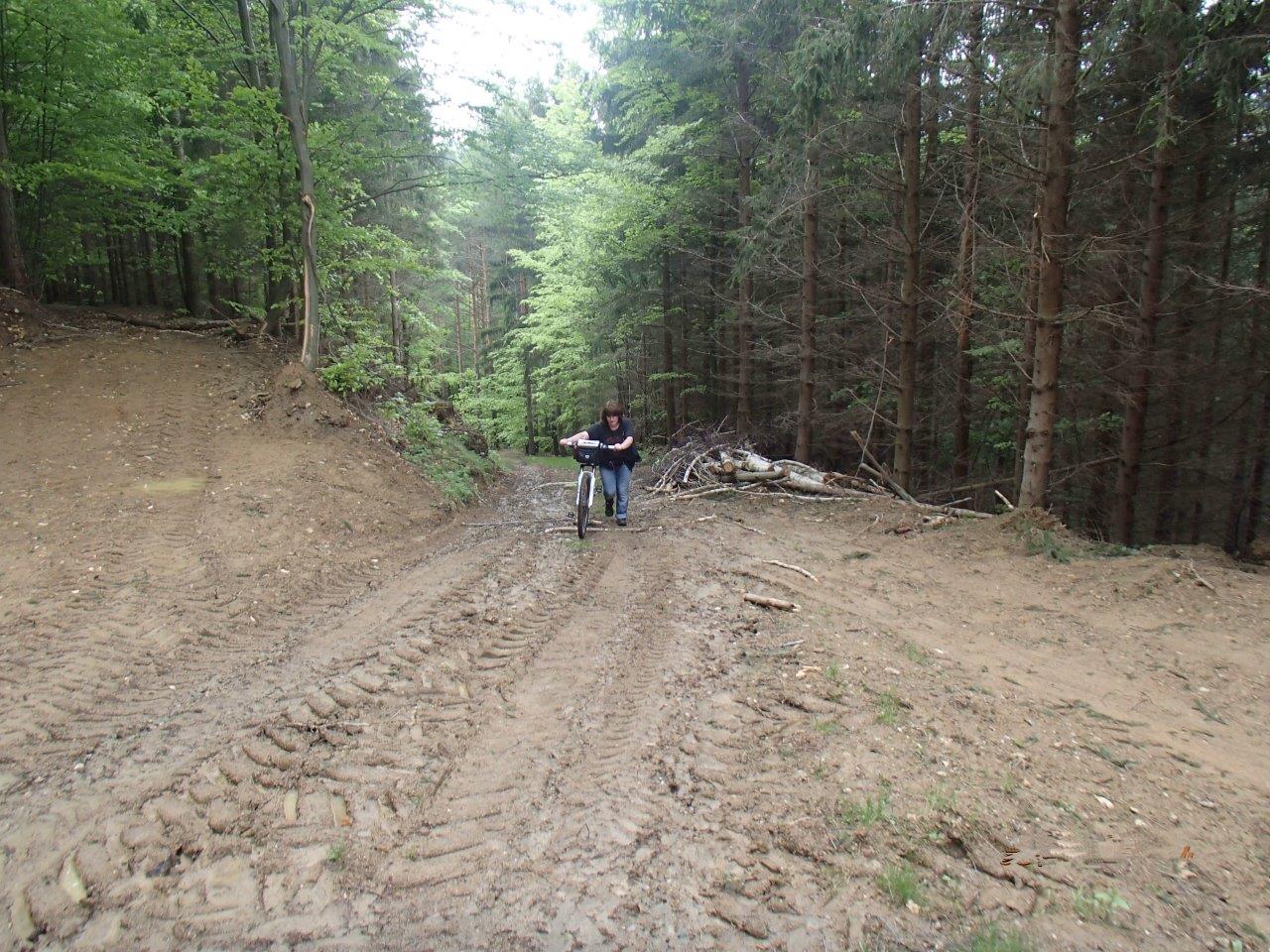 Hollenthon Mountain Biking