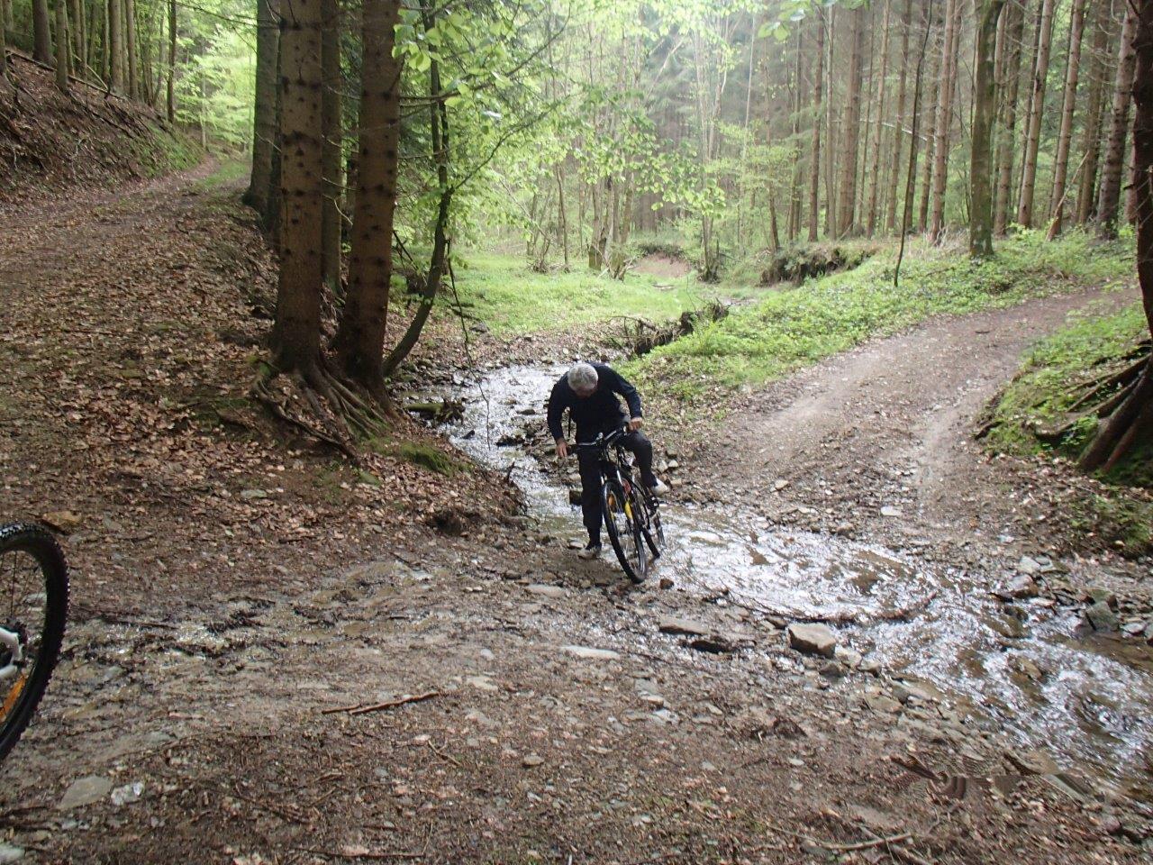 Hollenthon Mountain Biking