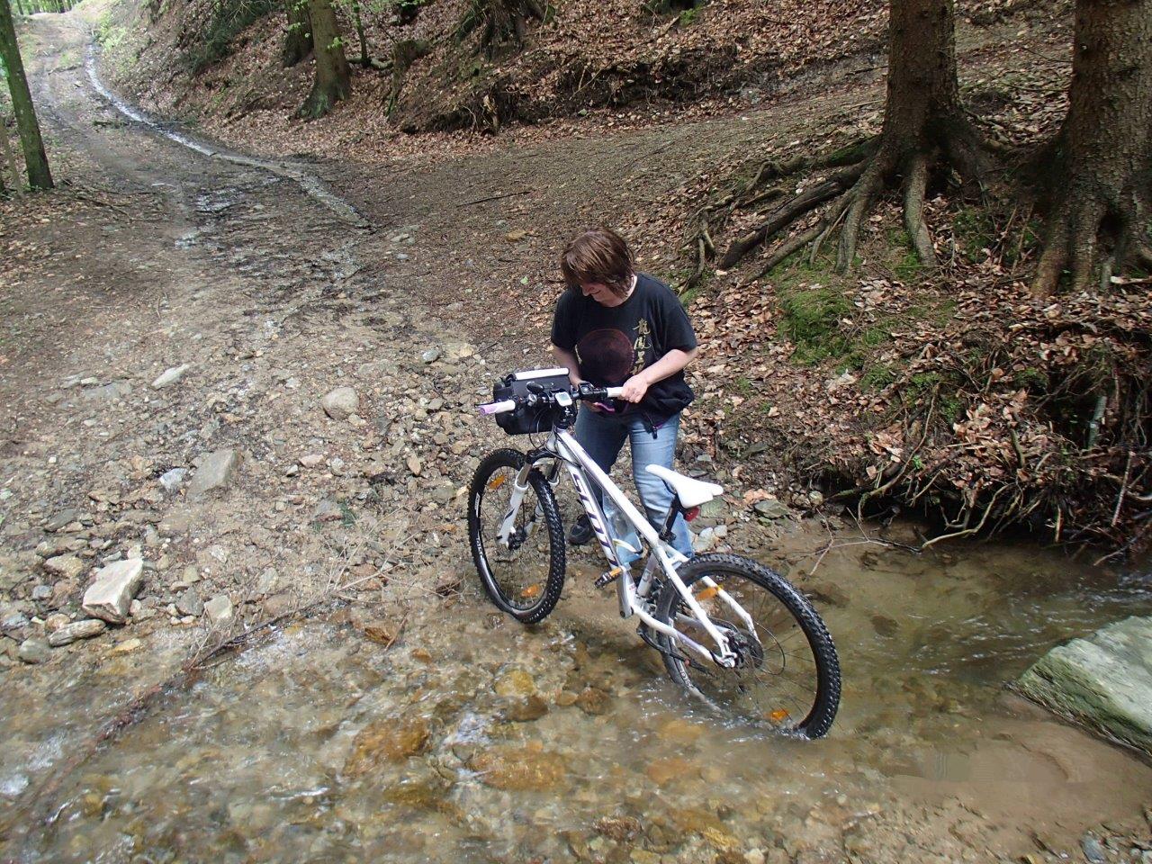 Hollenthon Mountain Biking