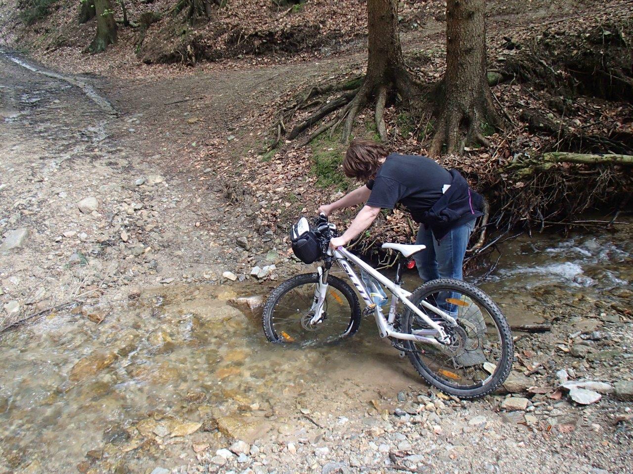 Hollenthon Mountain Biking