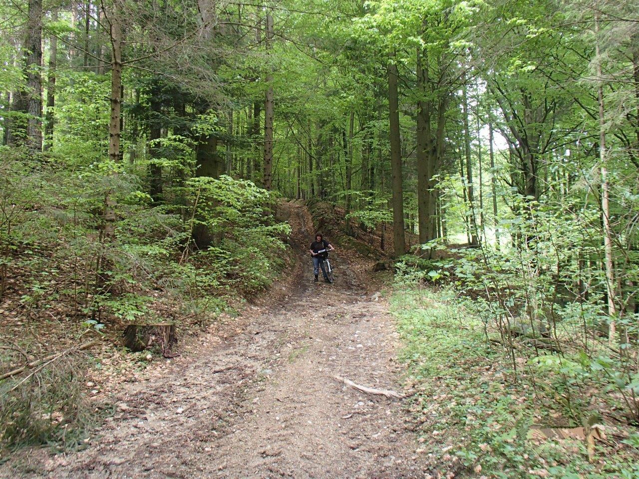 Hollenthon Mountain Biking