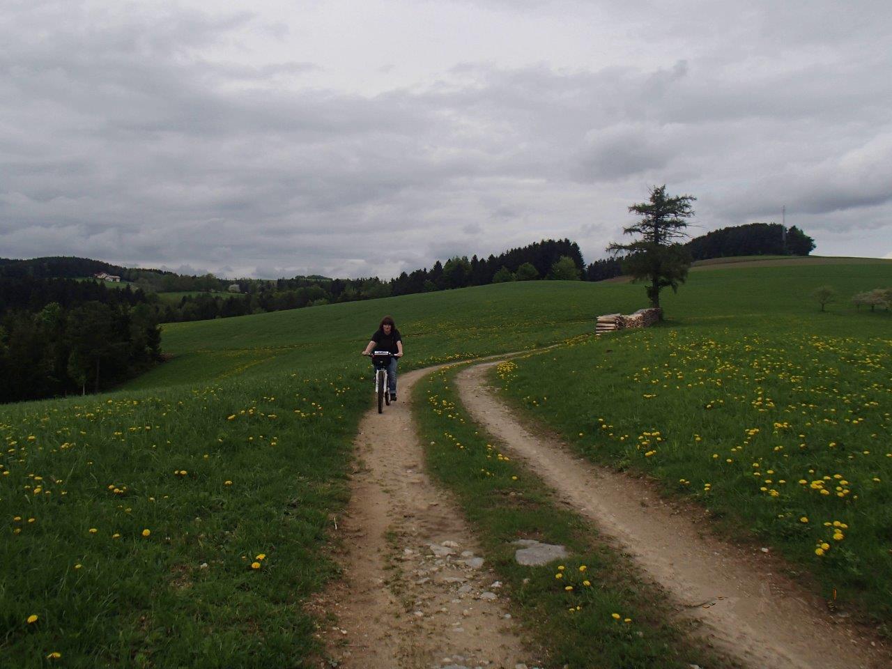 Hollenthon Mountain Biking