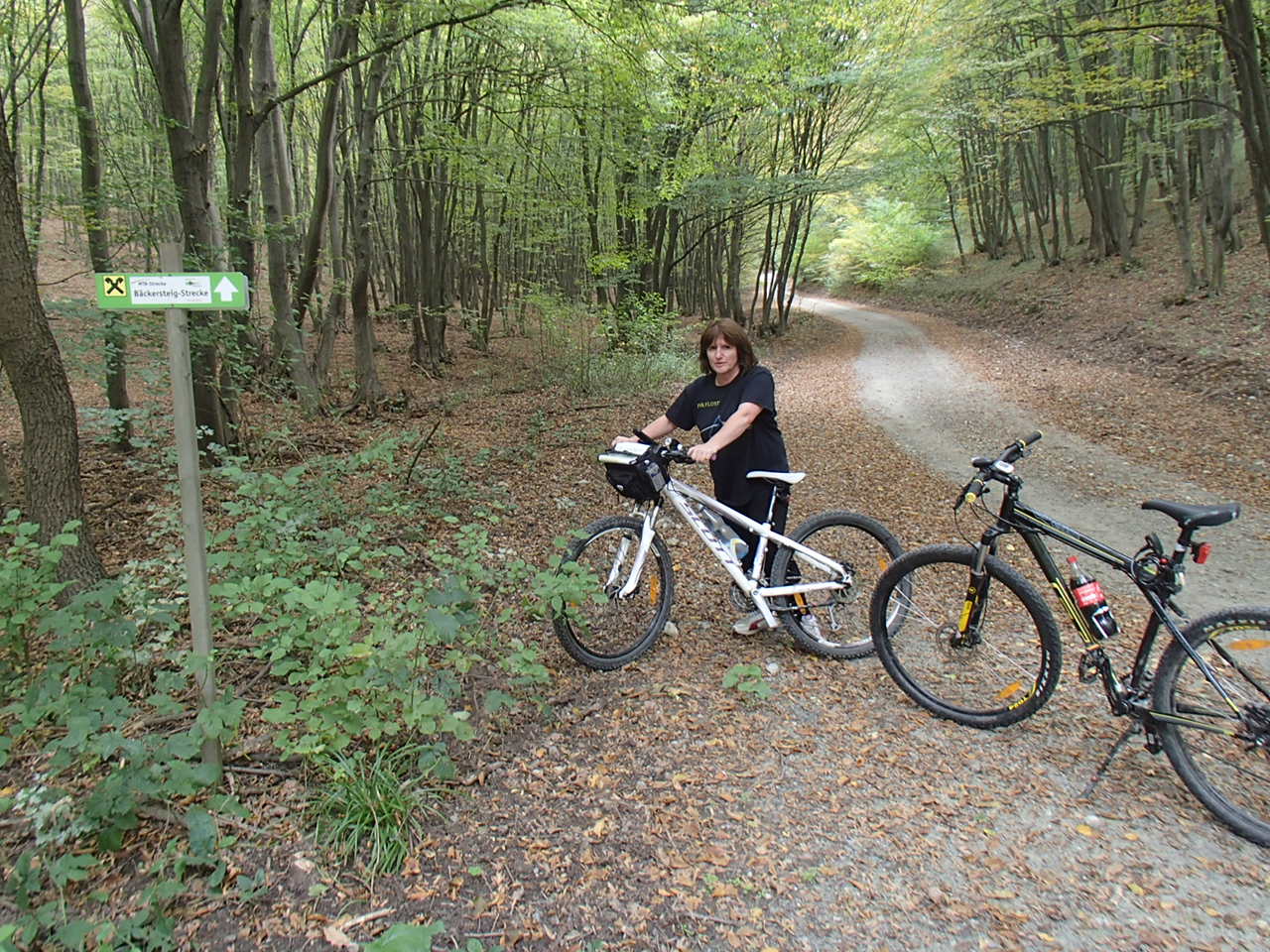 Hornstein Bäckerstreigstrecke Mountain Biking