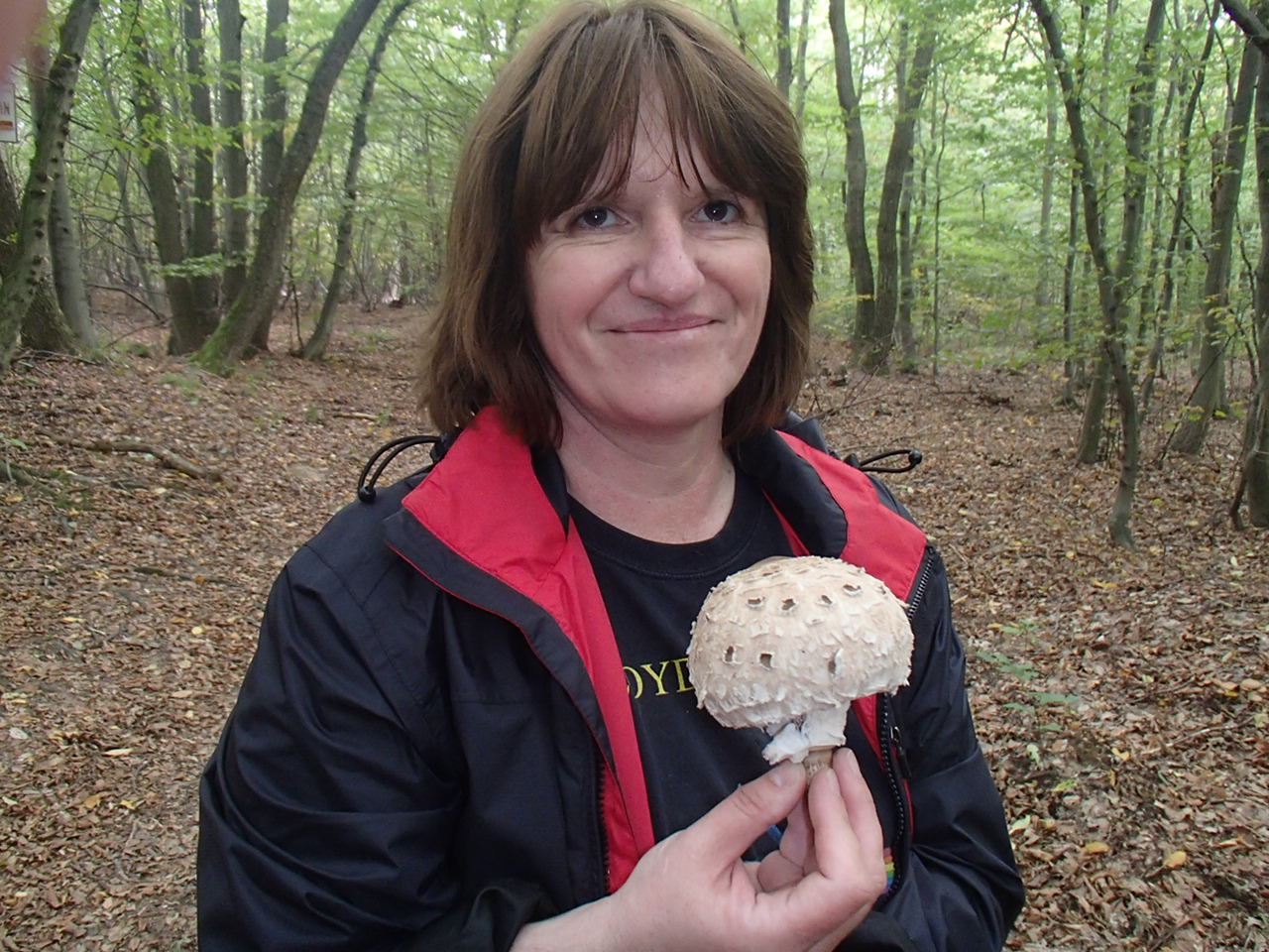 Hornstein Bäckerstreigstrecke Mountain Biking