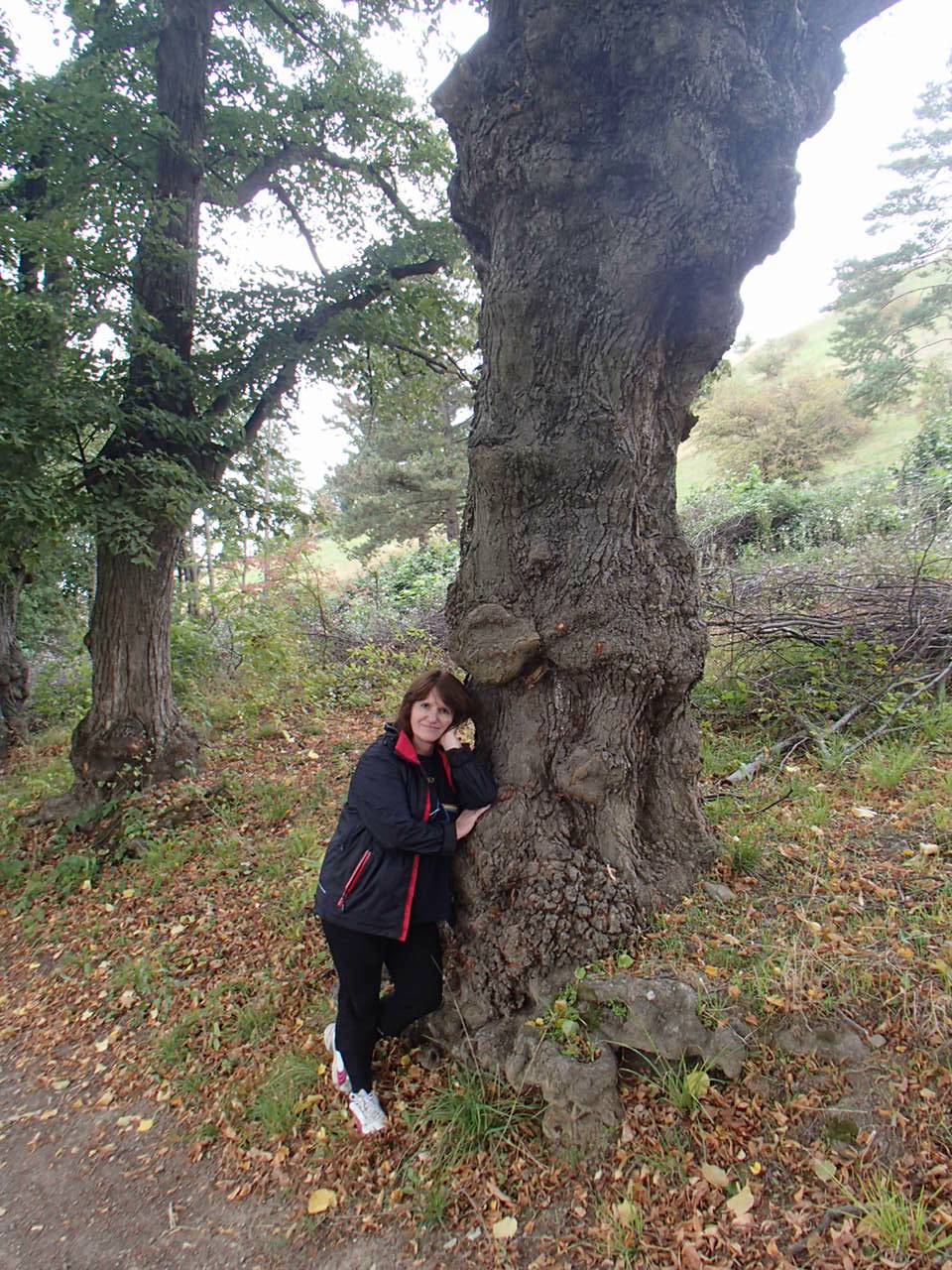 Hornstein Bäckerstreigstrecke Mountain Biking