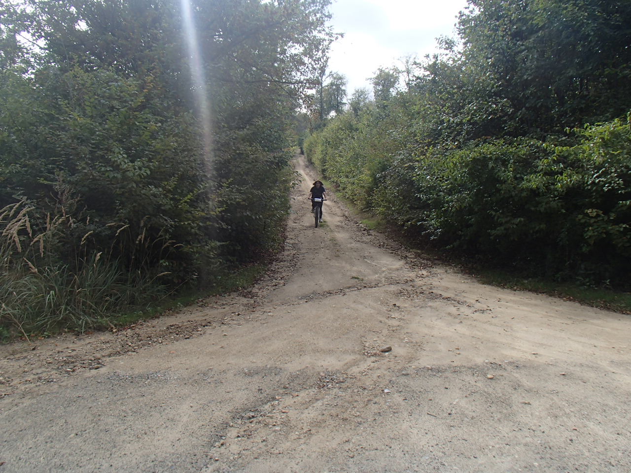 Hornstein Bäckerstreigstrecke Mountain Biking