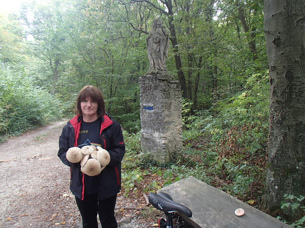 Hornstein Bäckerstreigstrecke Mountain Biking