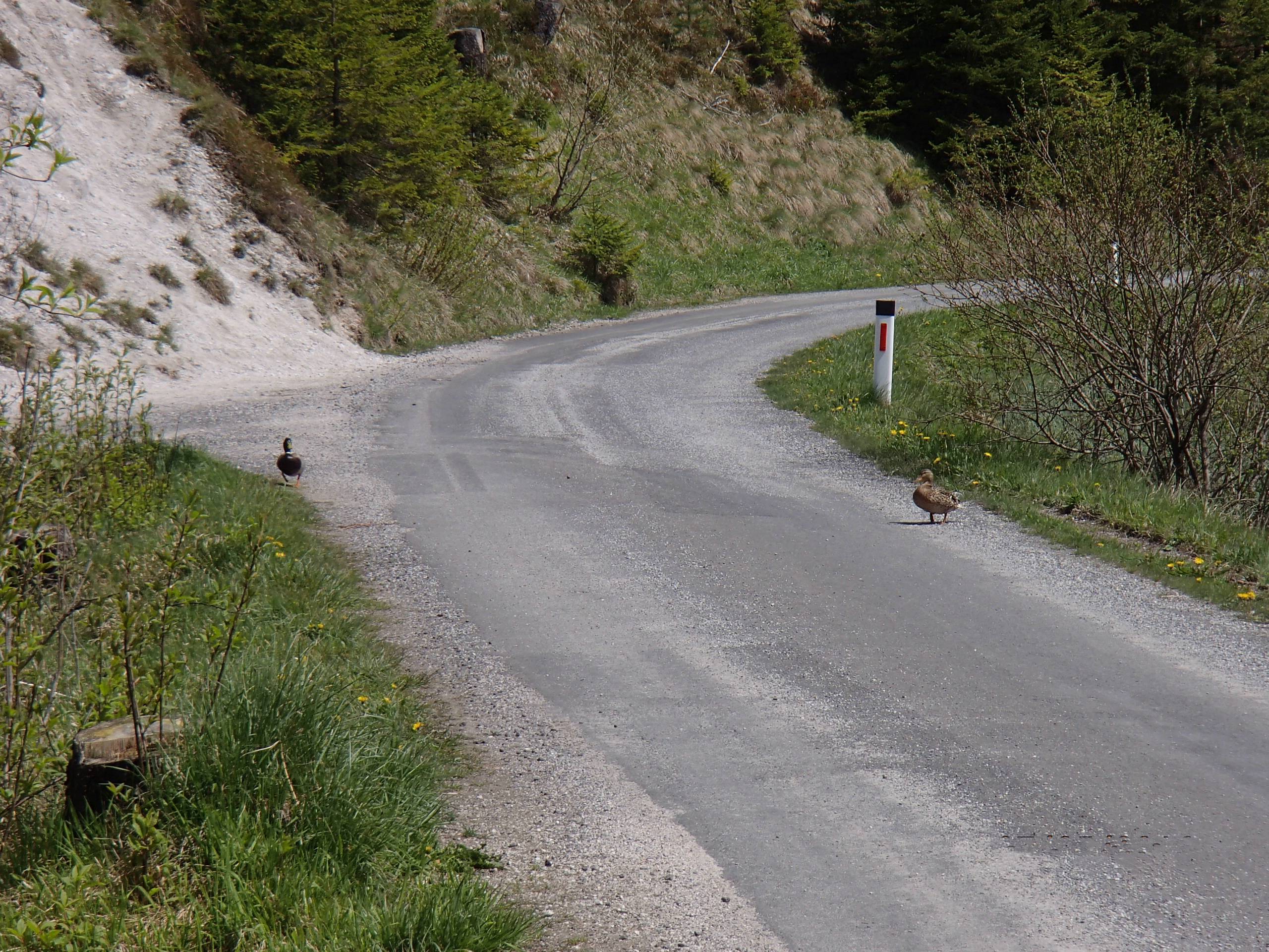 Hubertussee Mountain Biking