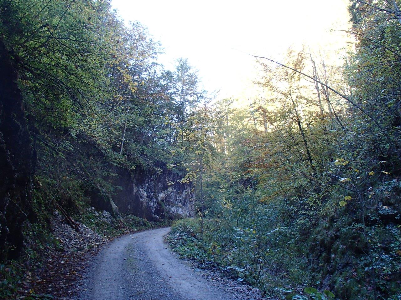 Kalkalpen National Park Mountain Biking
