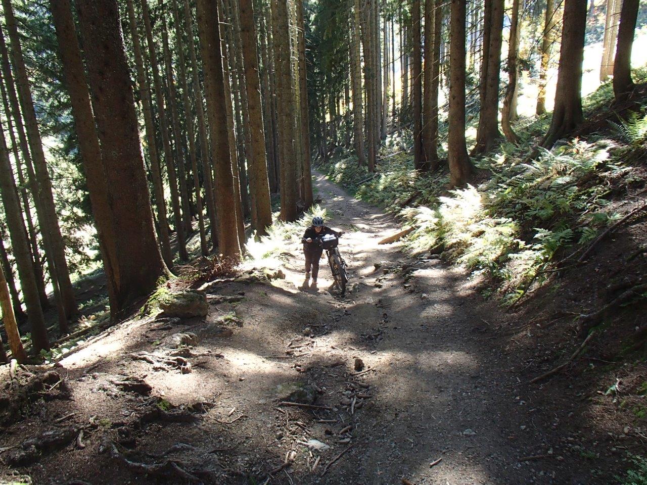 Kalkalpen National Park Mountain Biking