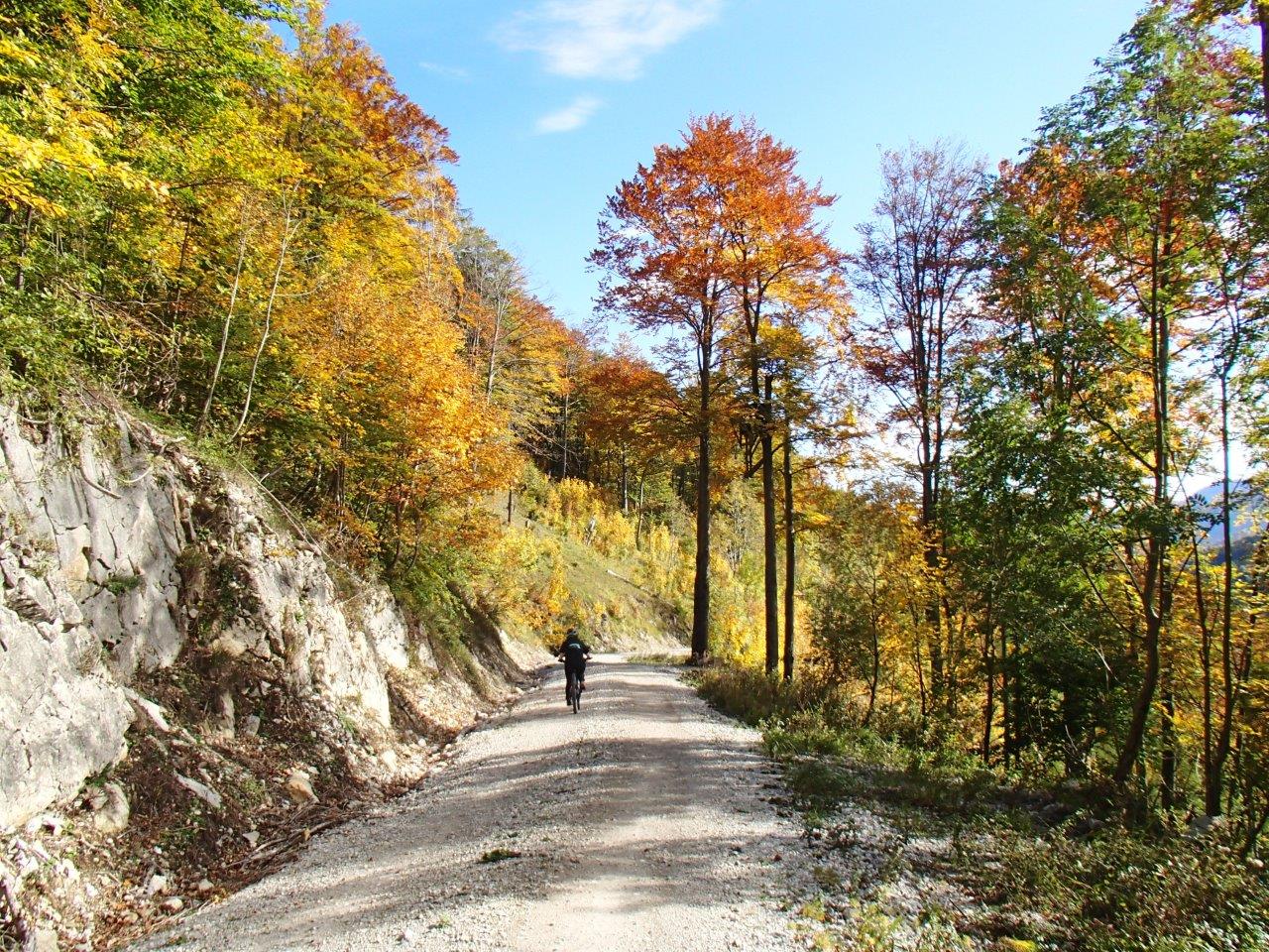 Kalkalpen National Park Mountain Biking