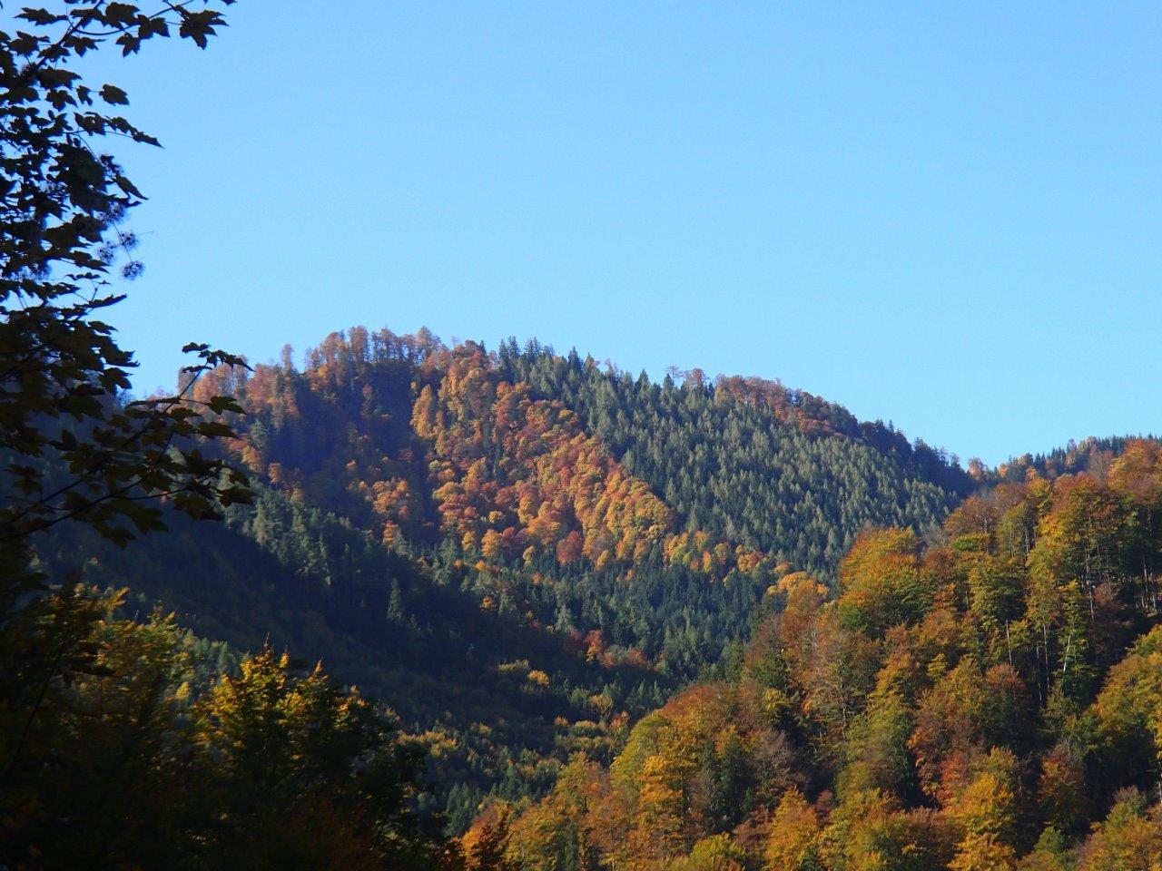 Kalkalpen National Park Mountain Biking