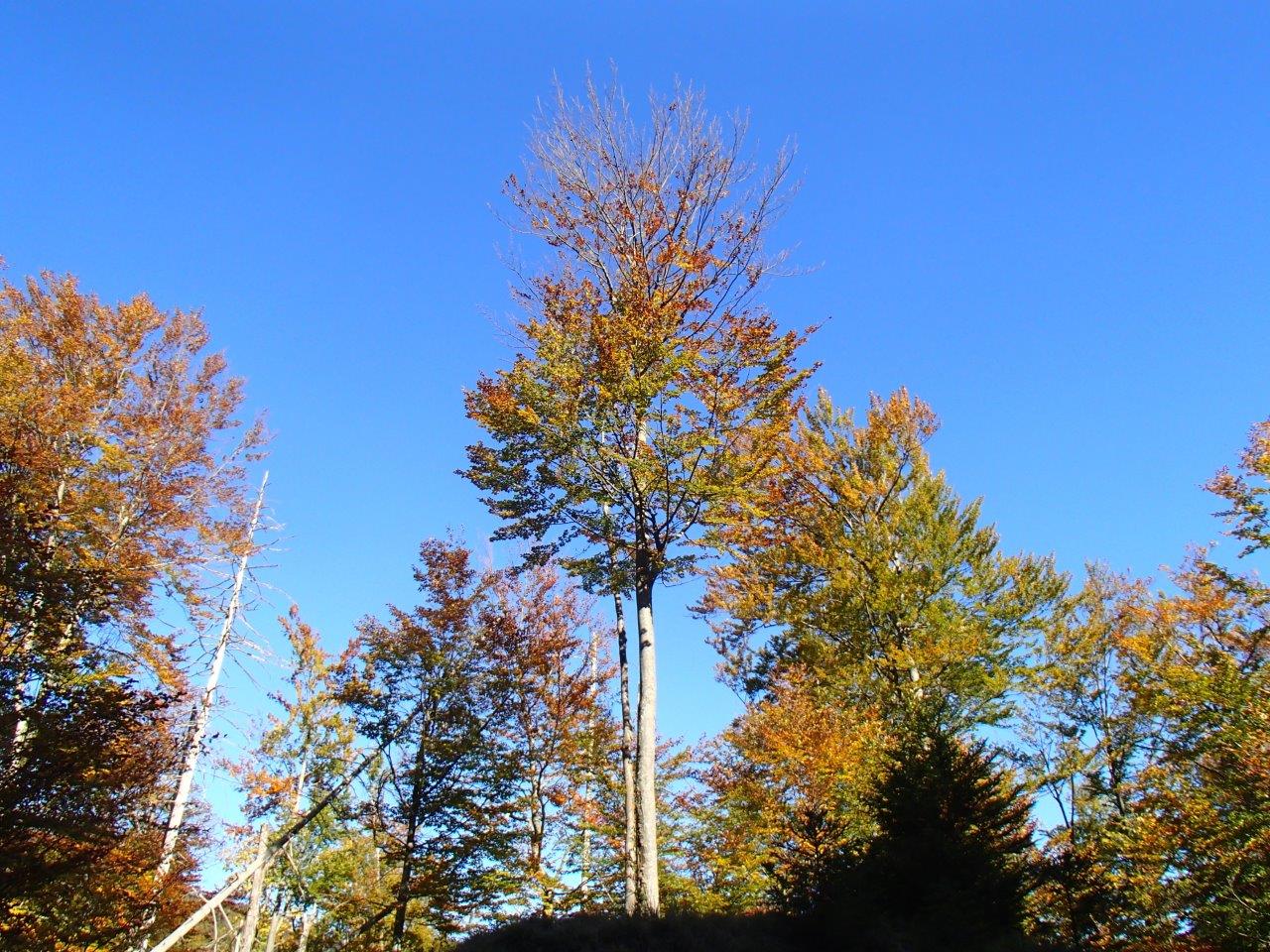 Kalkalpen National Park Mountain Biking