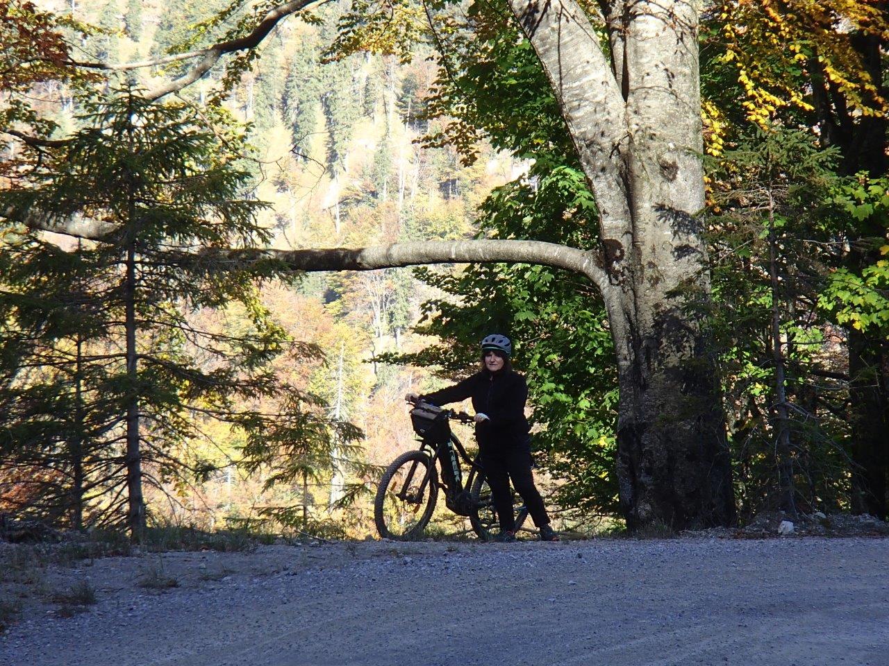 Kalkalpen National Park Mountain Biking