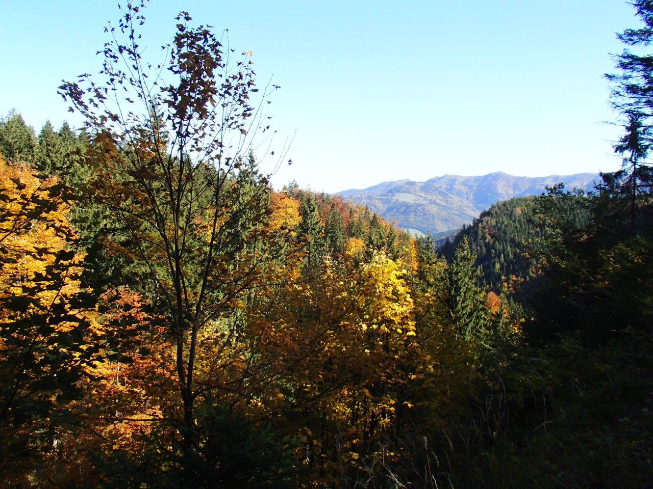 Kalkalpen National Park Mountain Biking