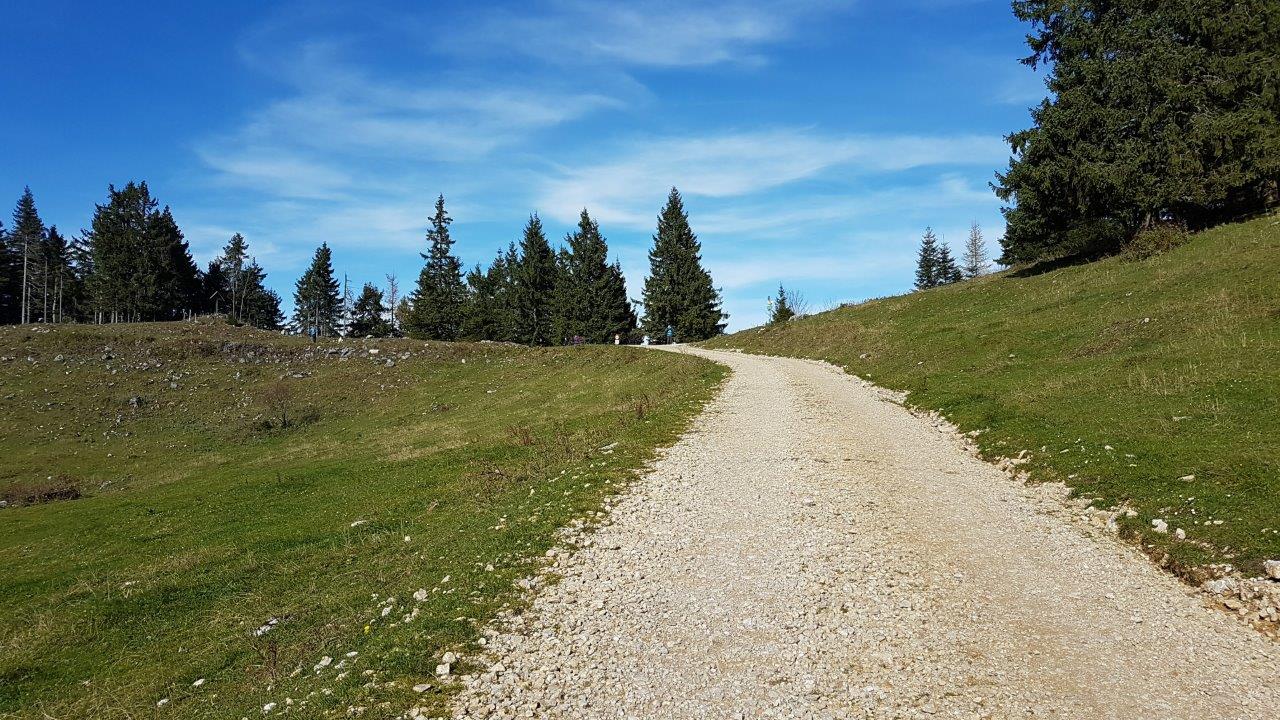 Eisenwurzen Mountain Biking
