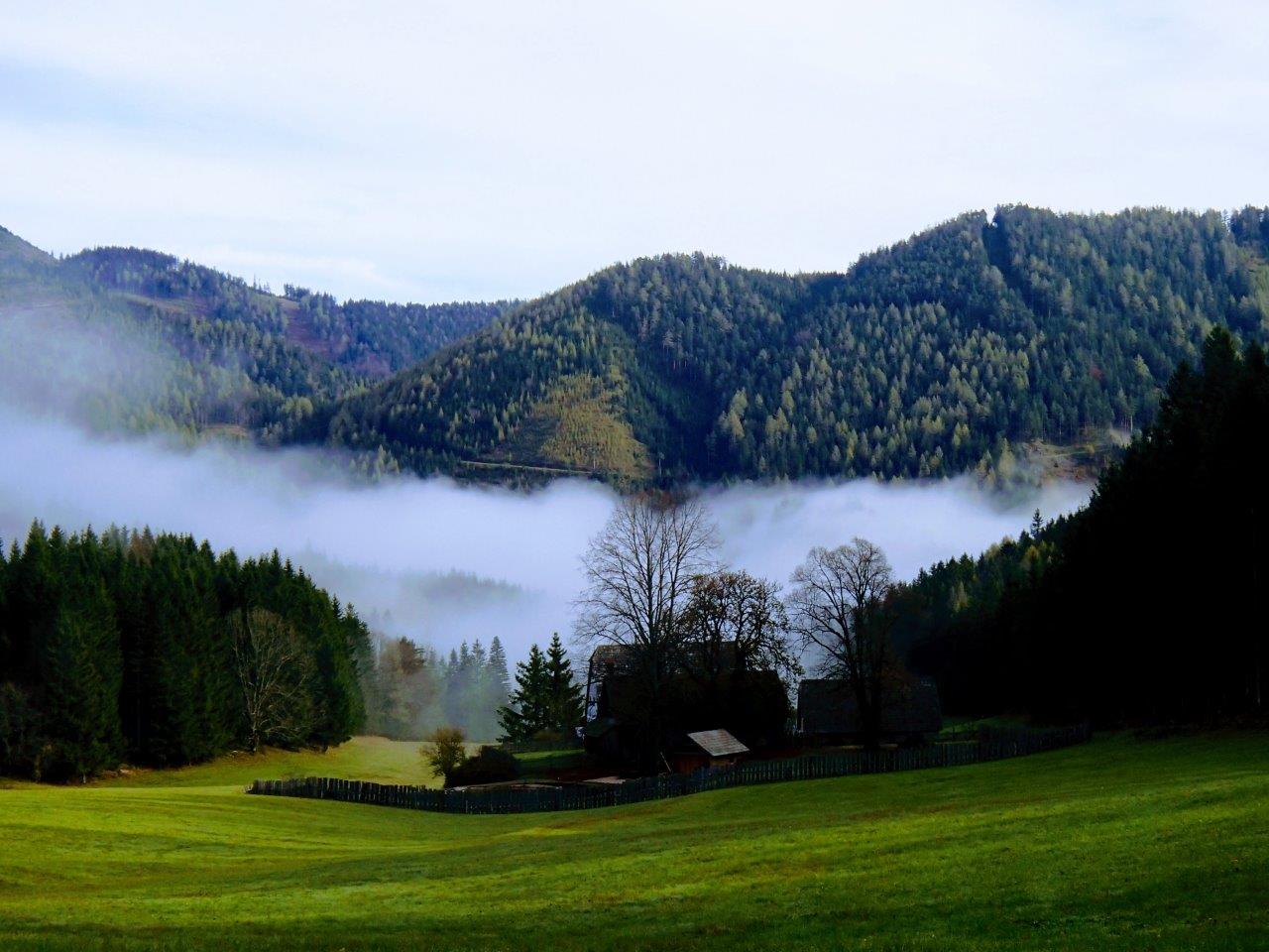 Eisenwurzen Mountain Biking