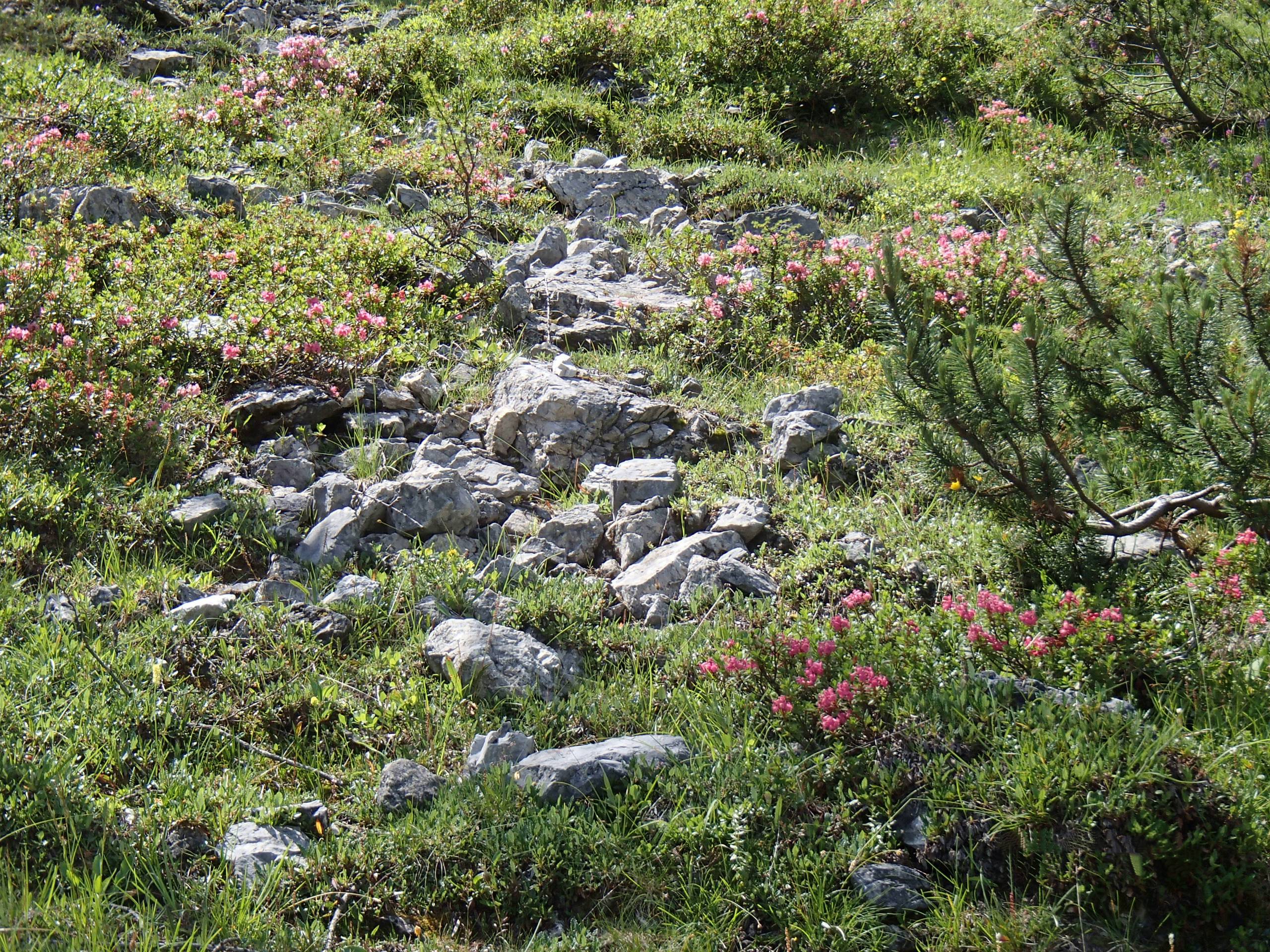 Kreuzbergpass HIking