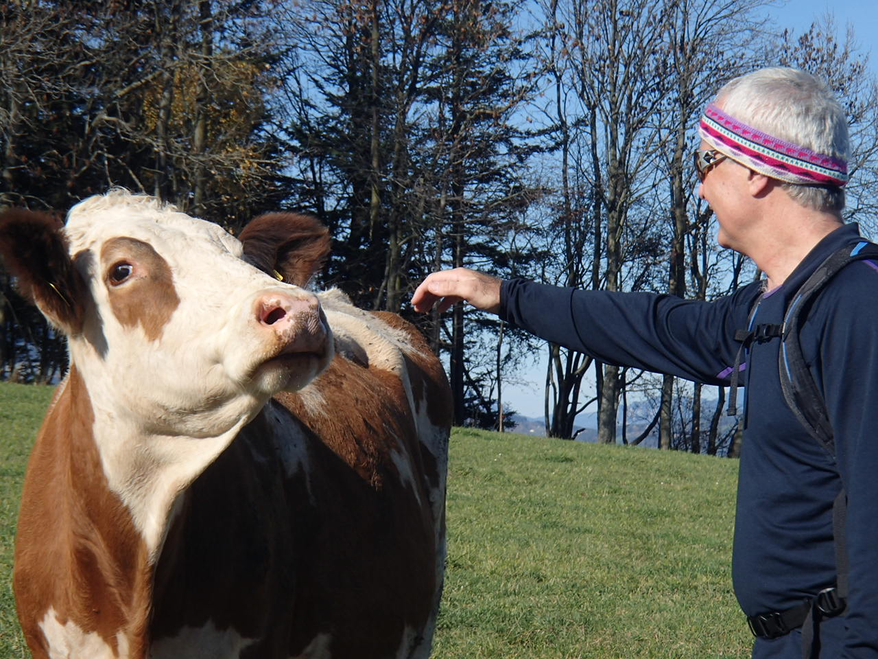 Heissenbergstrecke Mountain Biking 