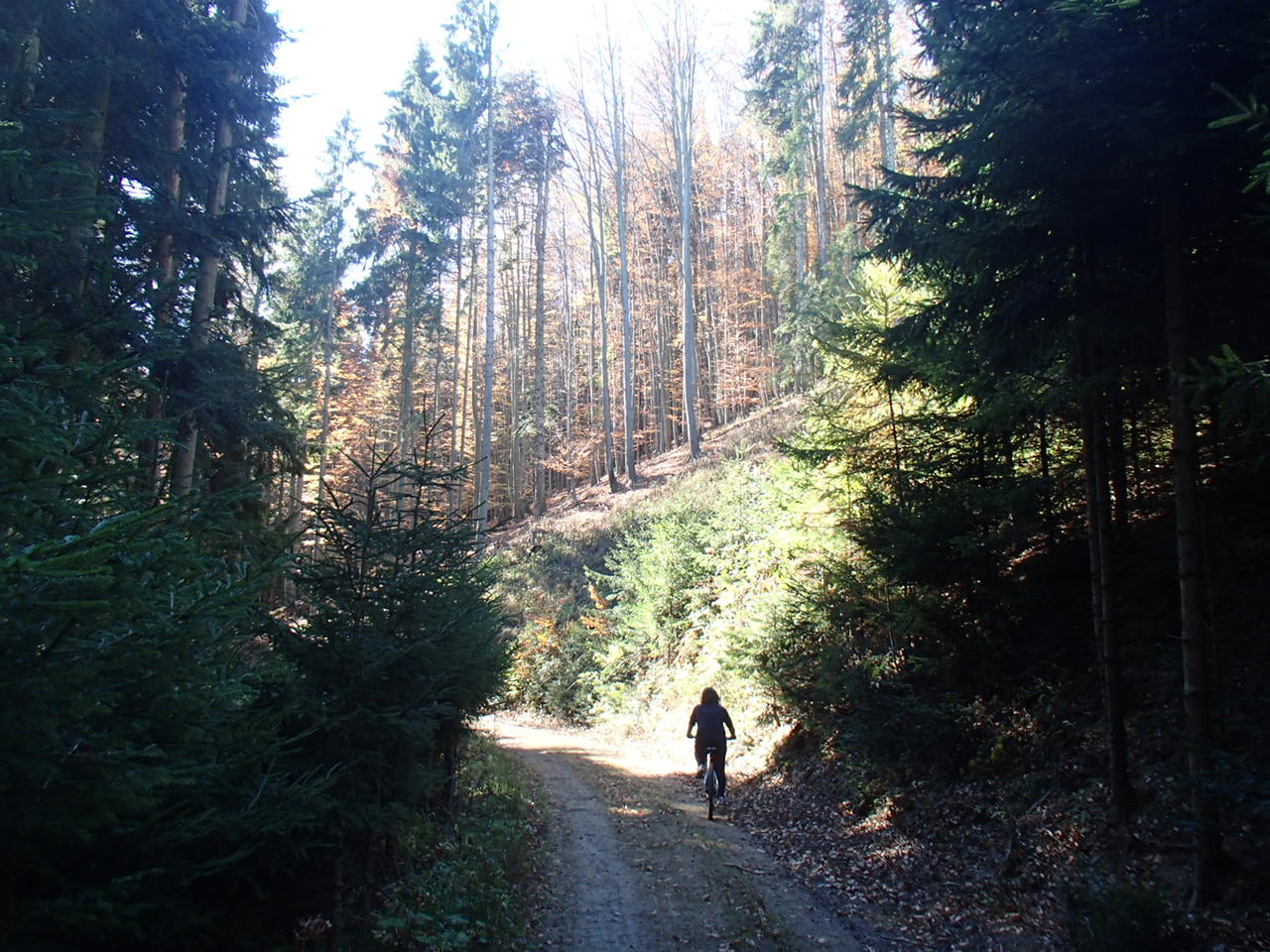 Heissenbergstrecke Mountain Biking 