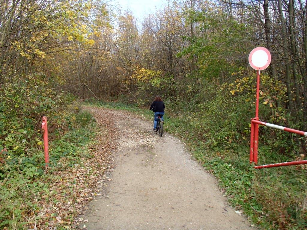 Lainzertiergarten Mountain Biking in Vienna Woods