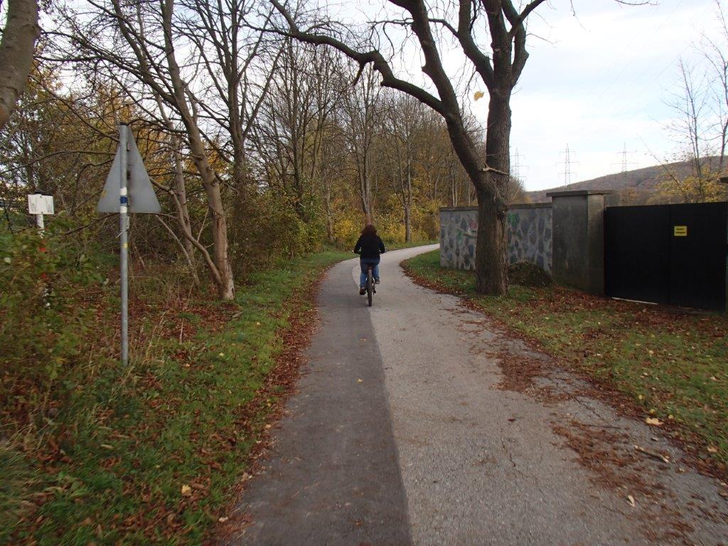 Lainzertiergarten Mountain Biking in Vienna Woods