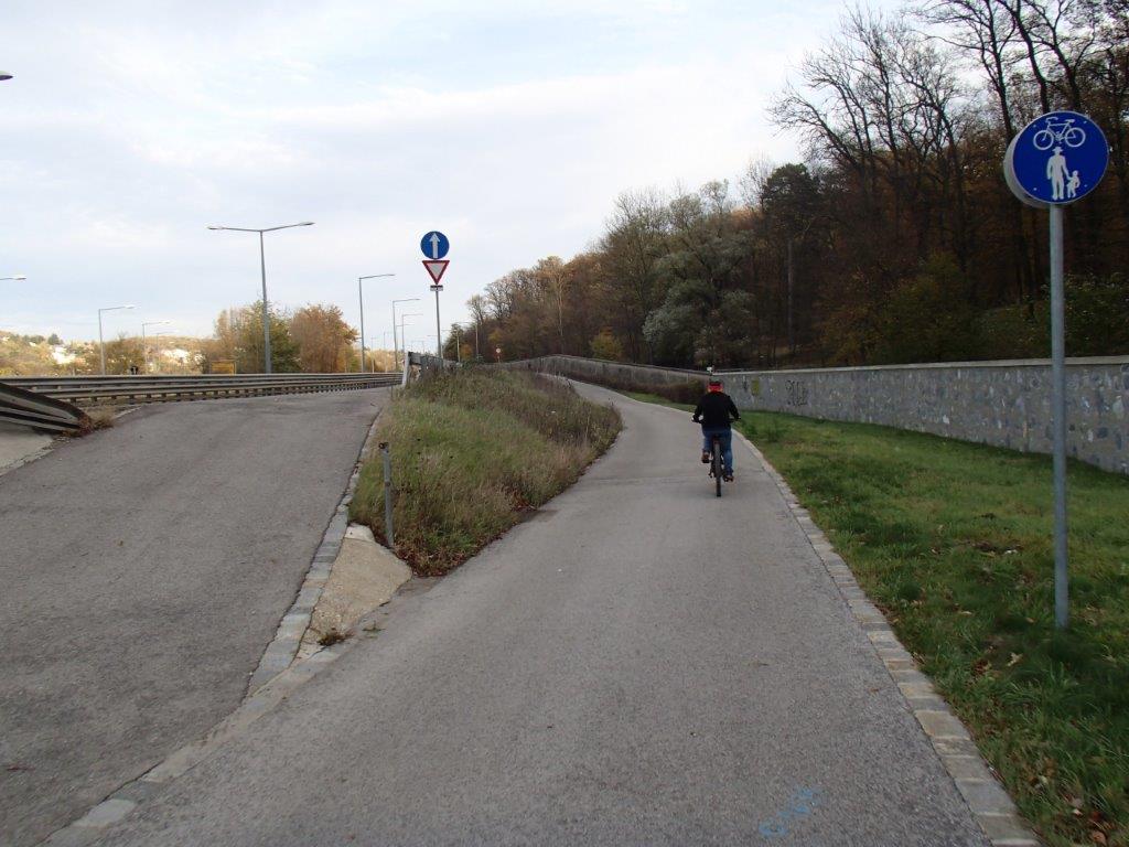 Lainzertiergarten Mountain Biking in Vienna Woods