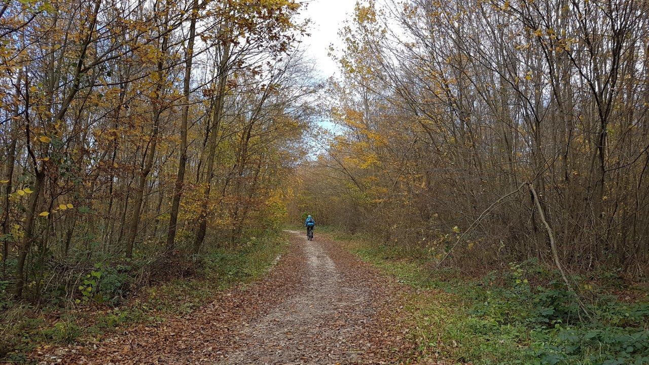 Lainzertiergarten Mountain Biking in Vienna Woods