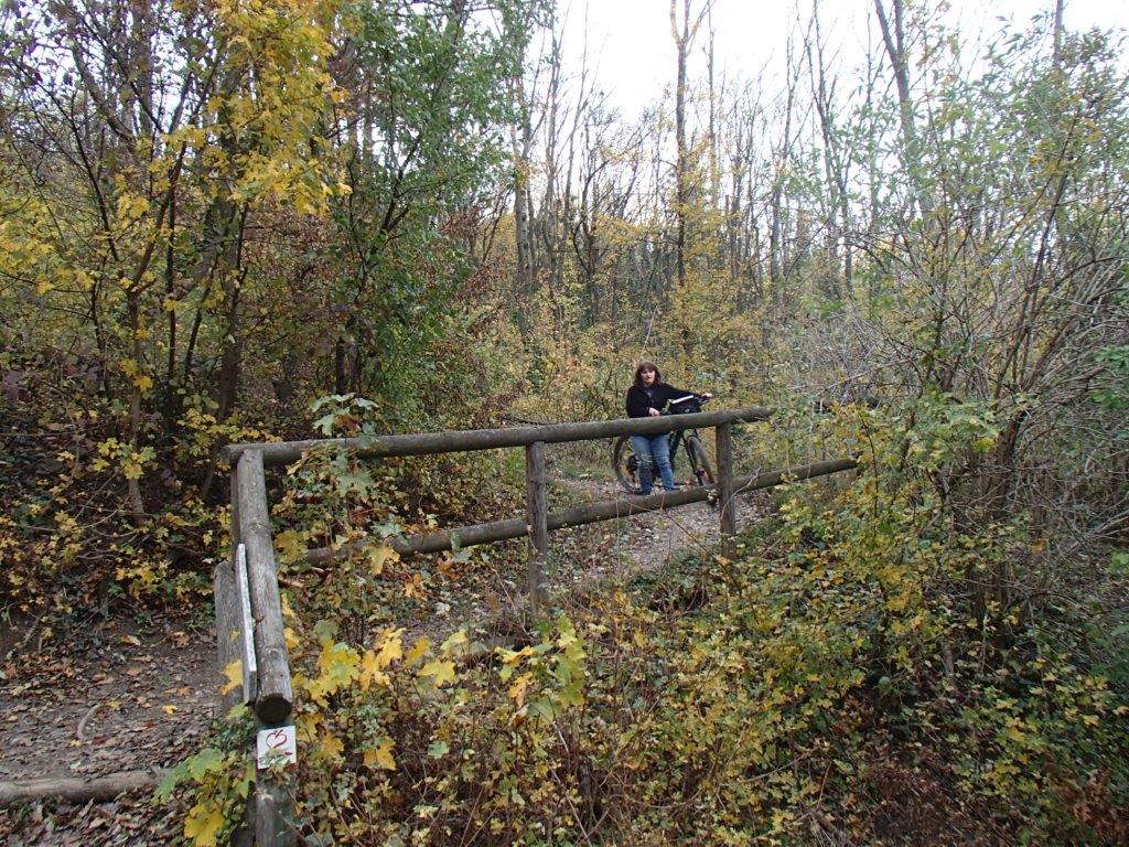 Lainzertiergarten Mountain Biking in Vienna Woods