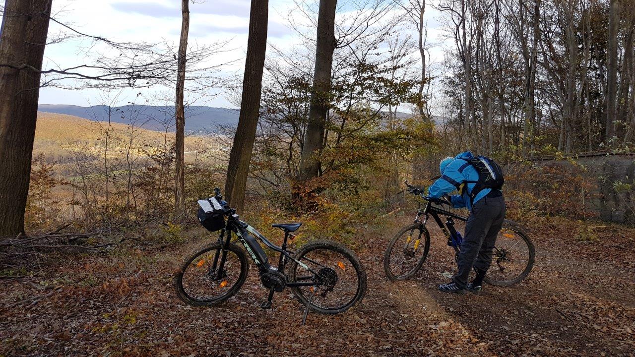 Lainzertiergarten Mountain Biking in Vienna Woods